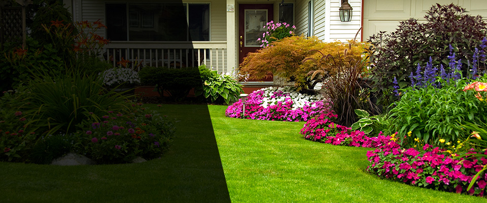 Lanexa Landscapers