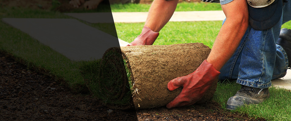 Lanexa Landscapers